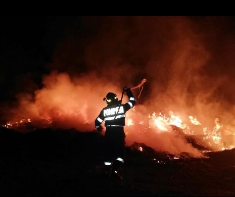 Incendiu uriaș in Delta Dunării. Intervenție dramatică a pompierilor