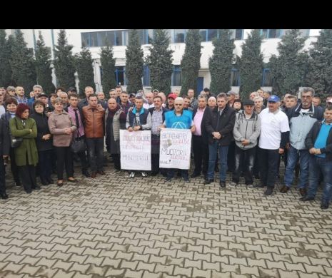 Liderii Cartel Alfa  au pornit spre București și vor boicota mai multe magazine Electrolux