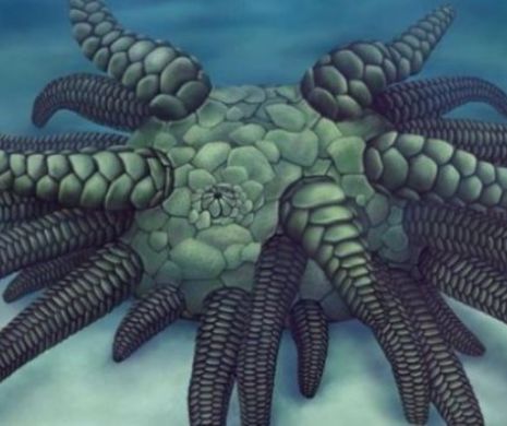 O fosilă străveche desprinsă din poveștile horror, găsită pe fundul mării. Cthulhu are 45 de tentacule