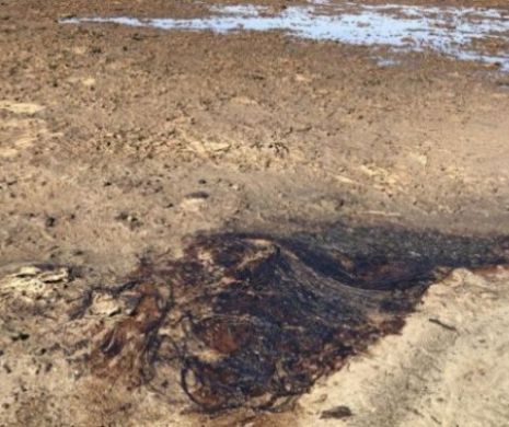 Poluare istorică pe litoral! OMV Petrom-Petromar, amendată pentru terenurile acoperite cu petrol