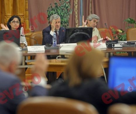 Tensiuni și scântei în Comisia Iordache înainte de votul din plen