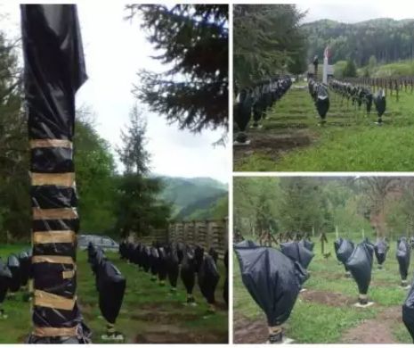 Cine sunt cei care au acoperit cruci ale eroilor români cu saci de gunoi. Poliția i-a identificat