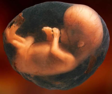 Cine vrea să scadă natalitatea în lume? Campanie scandaloasă de presă: „Avortul salvează vieți!”
