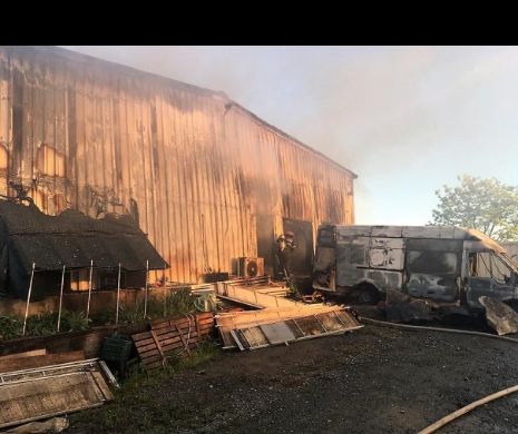Fabrică de pâine distrusă de un incendiu violent, la Constanța