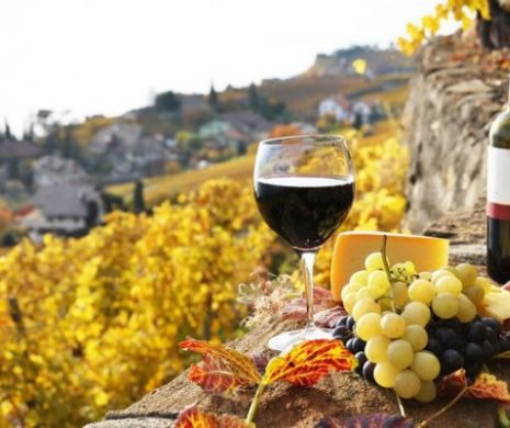 Festivalul Ro-Wine aduce în Bucureşti vinuri din 8 ţări