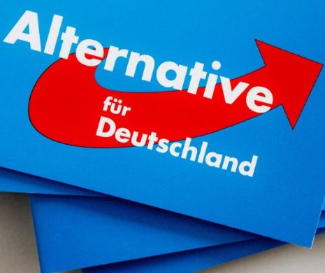 Incident violent la alegeri în Germania. O candidată a partidului populist AfD a fost lovită în stomac în timp ce lipea afișe