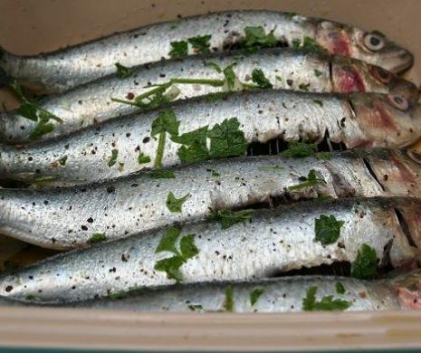 Peşti otrăviţi cu mercur pe pieţele din România. Care sunt cei mai contaminaţi peşti din comerţ