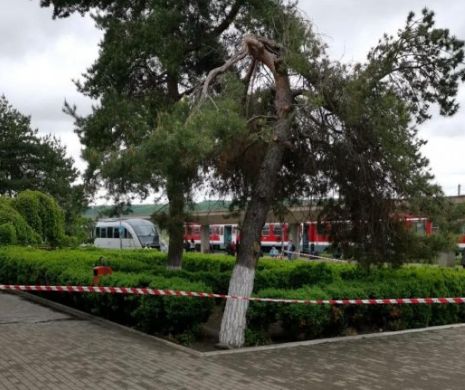 SRI intervine la o alertă antiteroristă într-o gară din România. CFR a blocat trenurile în zonă. News Alert