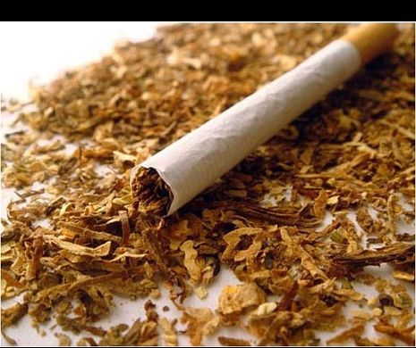 Afaceri ilegale cu tutun. O rețea de contrabandiști a fost destructurată