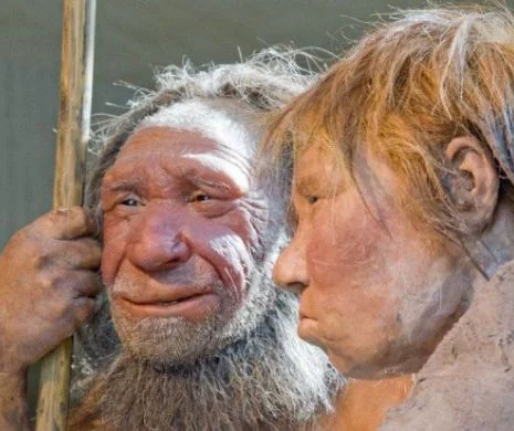 De ce a dispărut omul de Neanderthal?
