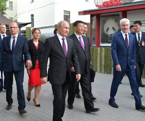 Diplomația panda. De ce China trimite simpaticii ursuleți în întreaga lume. Putin, dus cu ursul, nu cu preșul