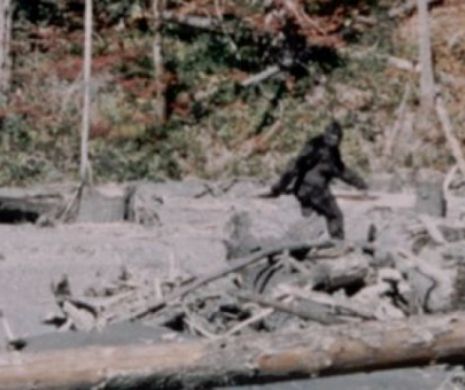 FBI tocmai a publicat dosarul Bigfoot. Există sau nu există Yeti? Ce spun experţii Biroului Federal de Investigații