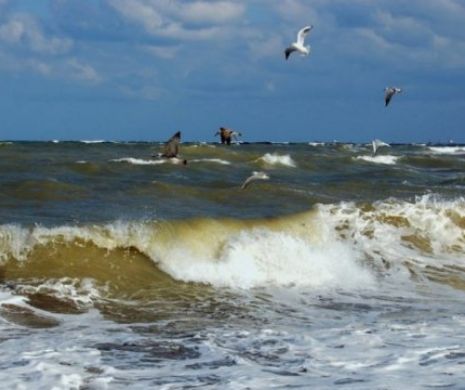 Începe sezonul estival. Marea Neagră este plină de bacterii periculoase. Ce spun specialiştii