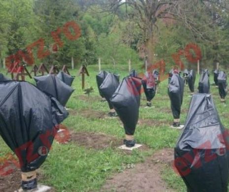 Pericol de violențe interetnice. Cimitirul Eroilor din Valea Uzului, un butoi de pulbere pus sub relațiile româno-maghiare