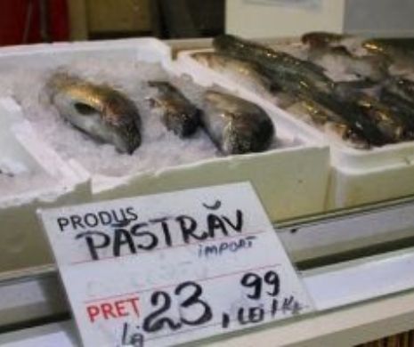 Pește stricat, la raft?! Zeci de magazine din Capitală au primit amenzi usturătoare