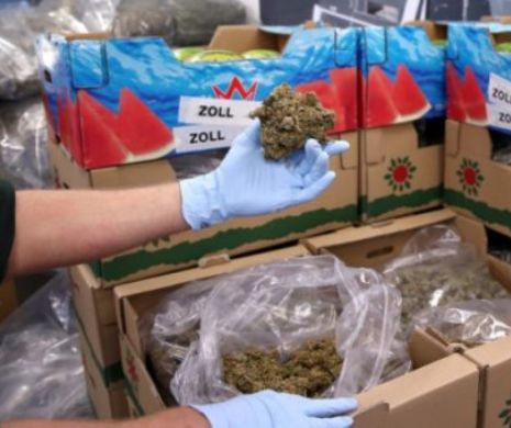 Un român prins cu 200 de kilograme de marjuana în camion a beneficiat de clemența judecătorilor germani