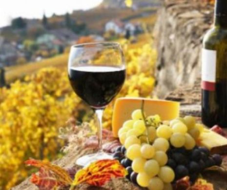 Vinul din Moldova premiat internațional. Ce se întâmplă cu vinurile din România