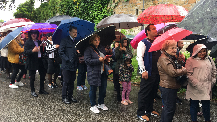 Românii din Diaspora cer câte o secție de votare la o sută de persoane