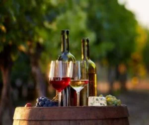 Cum să deschizi o sticlă de vin fără tirbușon. Metode virale circulă pe Google