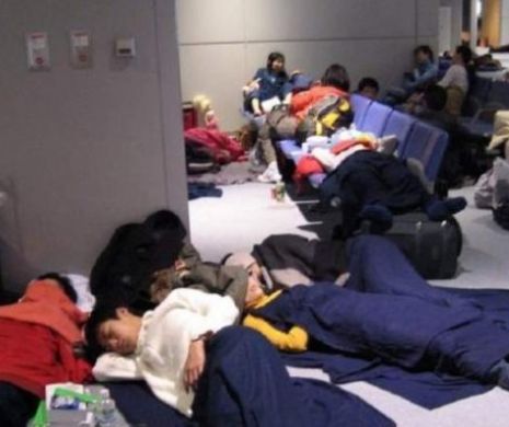 Copii abandonați în aeroport, în Japonia! Unde a dispărut profesorul Iulian Ghinoiu? „Profesorul a plâns cu noi în cameră și dormea doar două ore pe noapte”