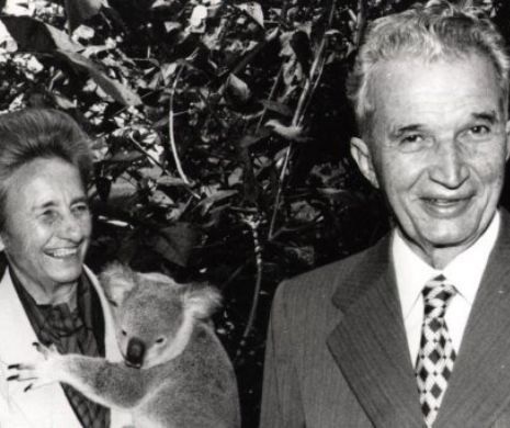 Cum s-a făcut de râs Ceaușescu în țara cangurilor și urșilor koala. Nu e un banc răutăcios, povestea s-a aflat abia acum