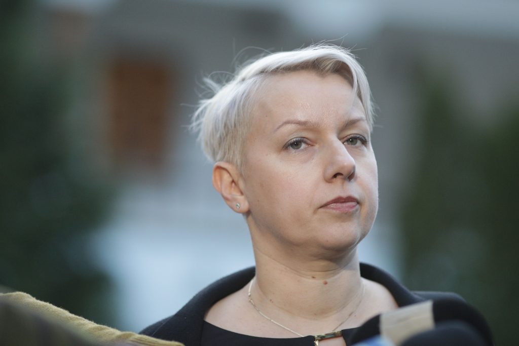 Dana Gîrbovan desființează rapoartele GRECO: Analiză părtinitoare, superficială ori eronată