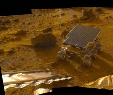 Dovezi incredibile de la NASA! O fotografie de pe Marte  cu o pasăre în zbor a pus pe gânduri cercetătorii. Foto în articol