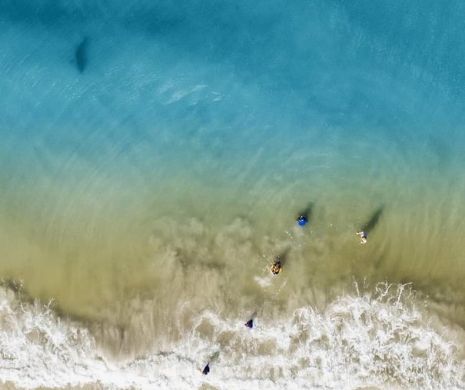 Imagini terifiante surprinse de un fotograf cu o dronă! Şi-a scos imediat copiii din apă