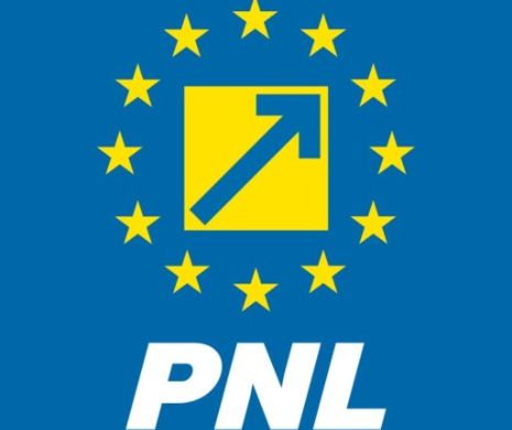 Implozie în PNL. 15 organizații dizolvate pentru rezultatele slabe la europarlamentare