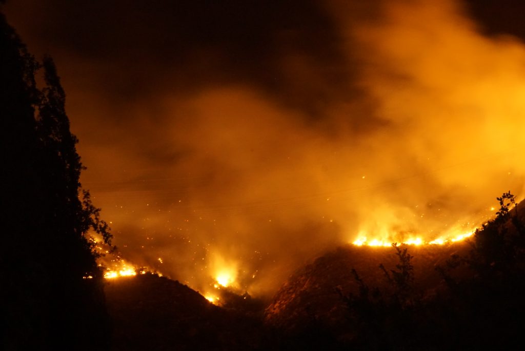 Imaginile dezastrului! Un club celebru din Mamaia a ars. Oamenii au sărit pe geamuri