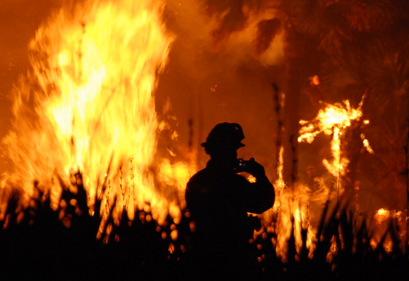 Canicula face ravagii. Pompierii fac față cu greu incendiilor de vegetație