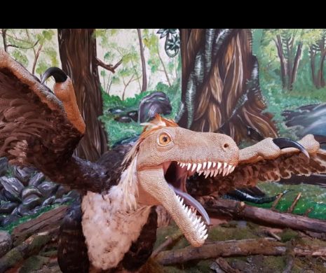 Senzațional: Dinozaurii din Hațeg au primit ,,cartonaș verde” de la UNESCO