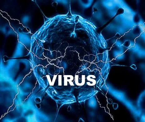 Un virus face ravagii în România. Este extrem de periculos și contagios