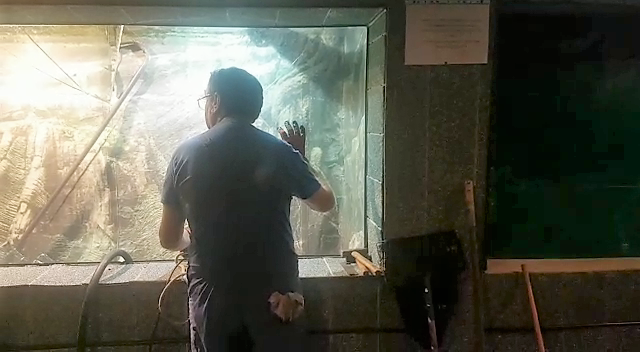 Incident la Acvariul din Constanța. Geamul unui bazin cu pești, cazut peste vizitatori