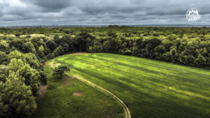 Woodstock de România. Festivalul în urma căruia se naște o pădure în toată regula