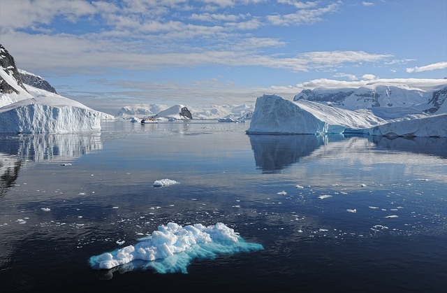 Descoperirea incredibilă făcută de o studentă în zona Arctică