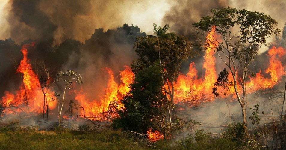 Război total între ONG-uri şi Bolsonaro: „Incendiile din pădurea amazoniană sunt provocate de...”