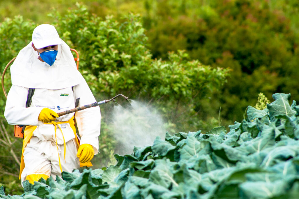 România, în topul țărilor care folosesc pesticide