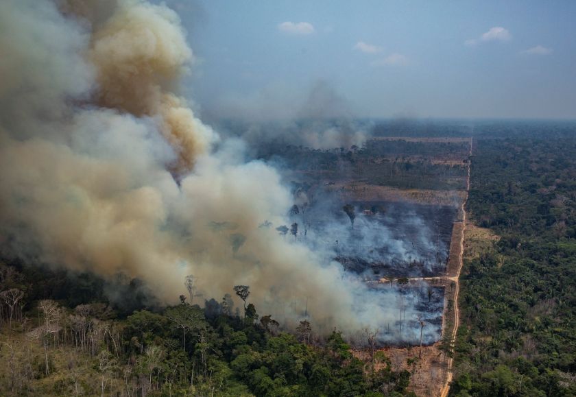 Rețelele criminale pun la pământ pădurea amazoniană