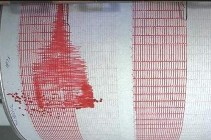 Cutremur în Serbia. Seismografele de la INFP România au recepționat imediat datele!