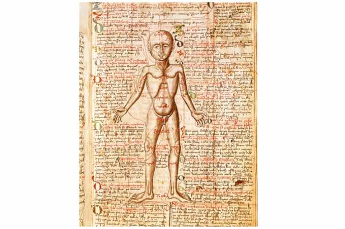 Răceală sau dureri de stomac? 8 remedii naturiste neobișnuite din epoca medievală