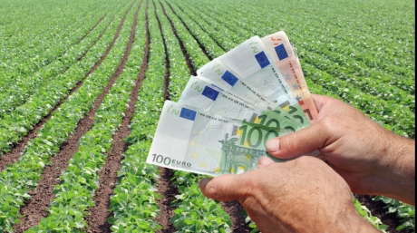 Bani pentru fermierii români! Subvenții de zeci de mii de euro