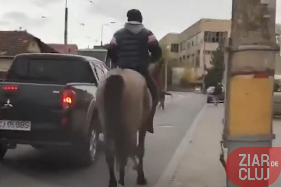Apariție șocantă în trafic: călare pe cal, ca în vestul sălbatic. Video