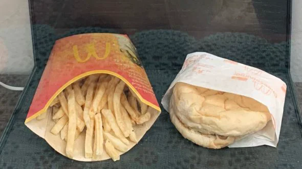 Experiment fast-food. A vrut să vadă ce se întâmplă cu produsele McDonald's după 10 ani.