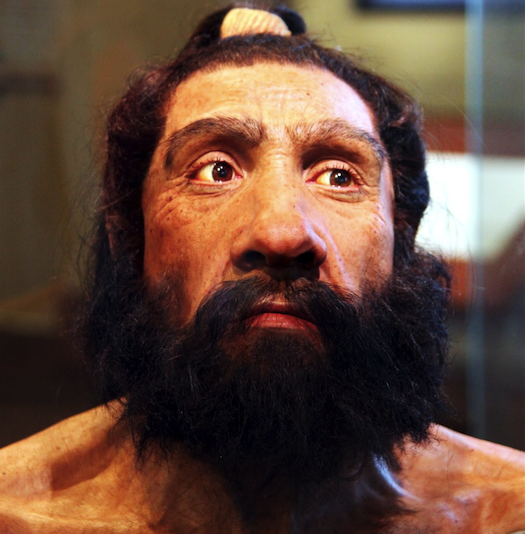 Omul de Neanderthal a dispărut pentru că a avut…ghinion