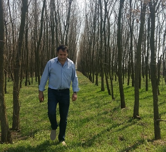 Fermier din Teleorman, amendat după ce a plantat 40.000 de arbori