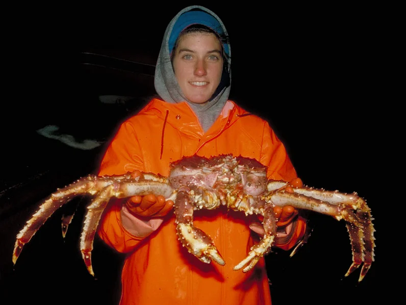 Crabi uriași în apele nordului. Vor invada până și Marea Britanie