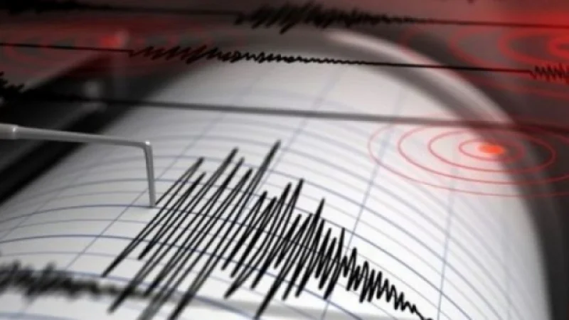 Cutremur la graniţa României. Care a fost magnitudinea seismului