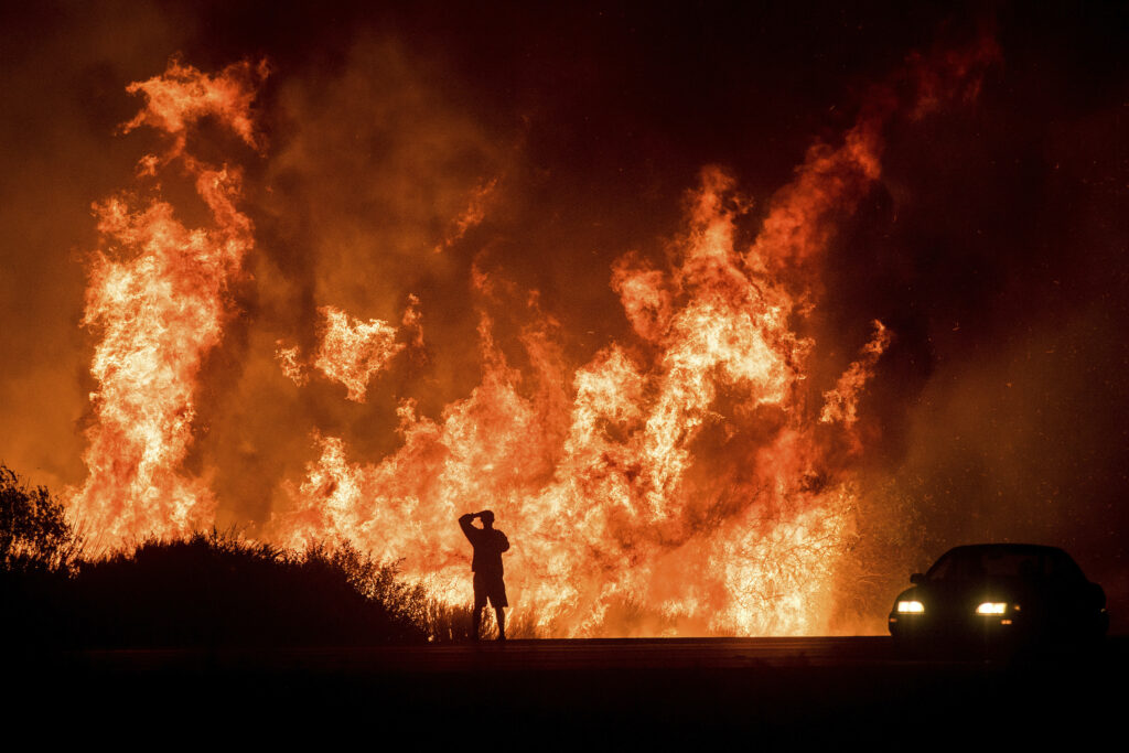 Incendiu de proporții în județul Buzău. Sute de animale au căzut victime flăcărilor