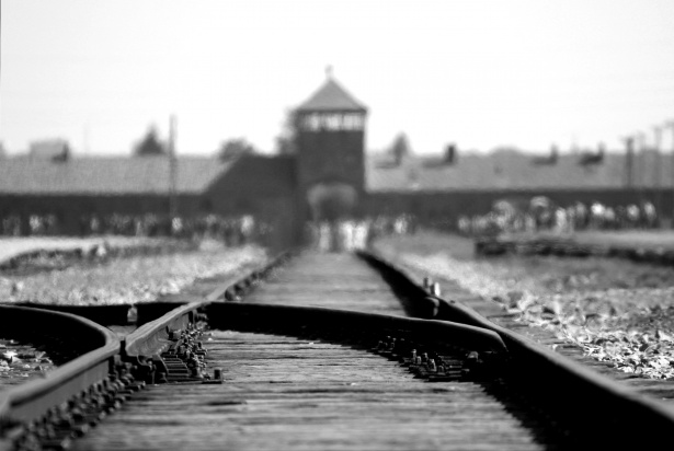Omul care a administrat Auschwitz și alte 15 lagăre de exterminare